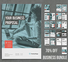 indesign模板－ 6套商业宣传物料设计合集：Business Bundle Vol.2